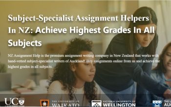 Management Assignment Help