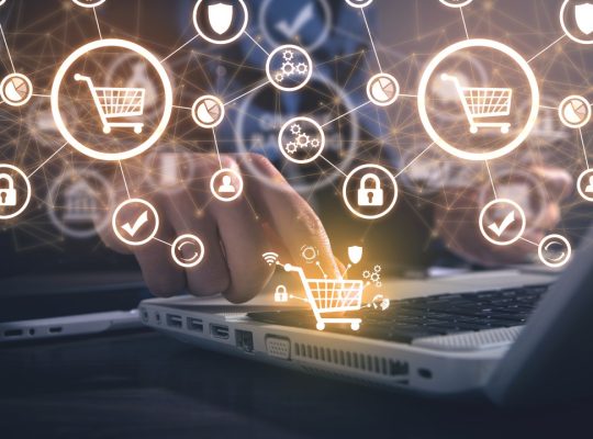 e-Commerce Development Services