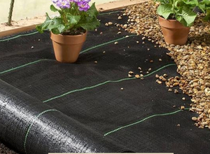 Durable Ground Covers for Beautiful Landscapes