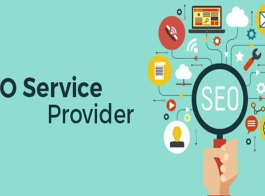 Professional SEO Services for Business Growth