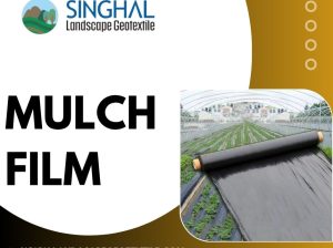Biodegradable Plastic Mulch Film for Sustainable