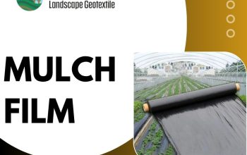 Biodegradable Plastic Mulch Film for Sustainable