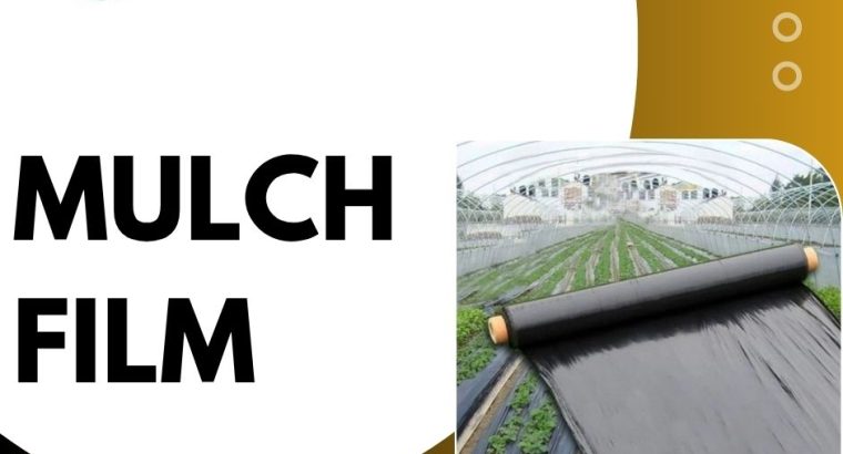 Biodegradable Plastic Mulch Film for Sustainable