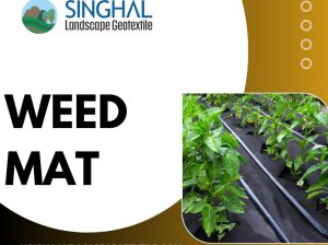 Biodegradable Pond Liner Weed Mat for Garden