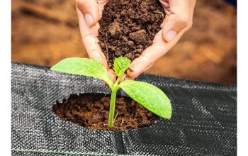 Weed Mat Solutions for Sustainable Gardening and F