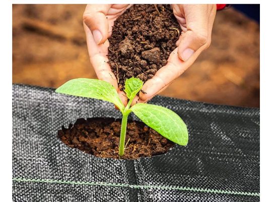Weed Mat Solutions for Sustainable Gardening and F