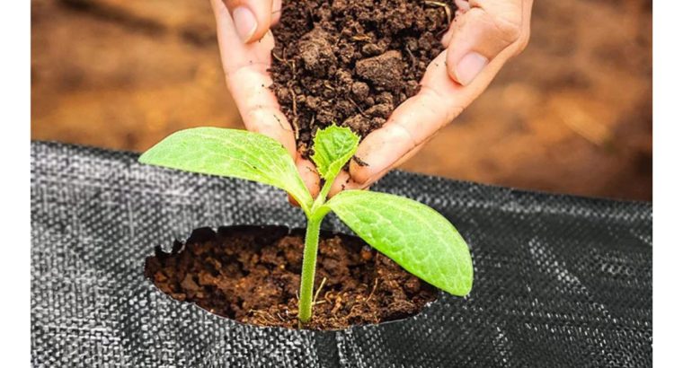 Weed Mat Solutions for Sustainable Gardening and F