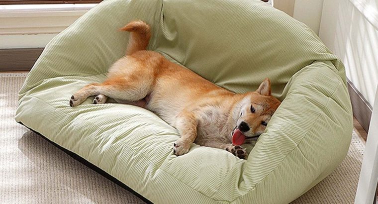 Top Pet Palace | Powerful Picks in Food & Toys