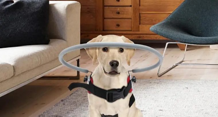 Top Pet Palace | Powerful Picks in Food & Toys