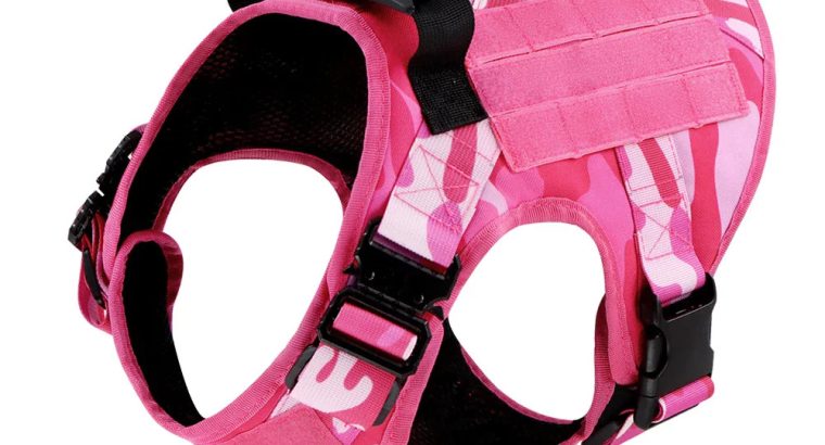 Top Pet Palace | Powerful Picks in Food & Toys