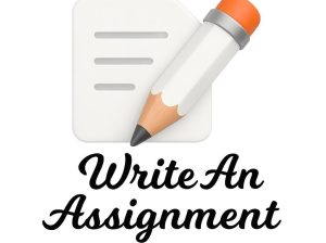 assignment assistance